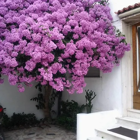 Lea Bed and Breakfast 2*